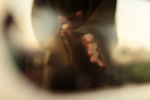 Casino Royal Slots Soporte